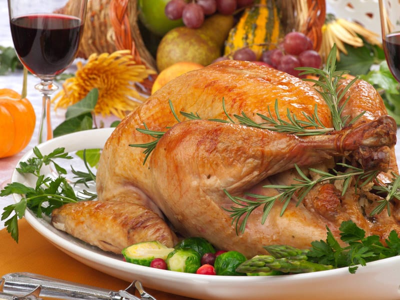 Turkey Salmonella Outbreak Grows as Thanksgiving Nears: 164 Victims in ...