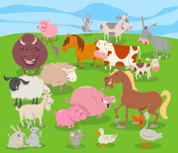 Cartoon Illustration Of Comic Farm Animal Funny Characters Group - Food ...