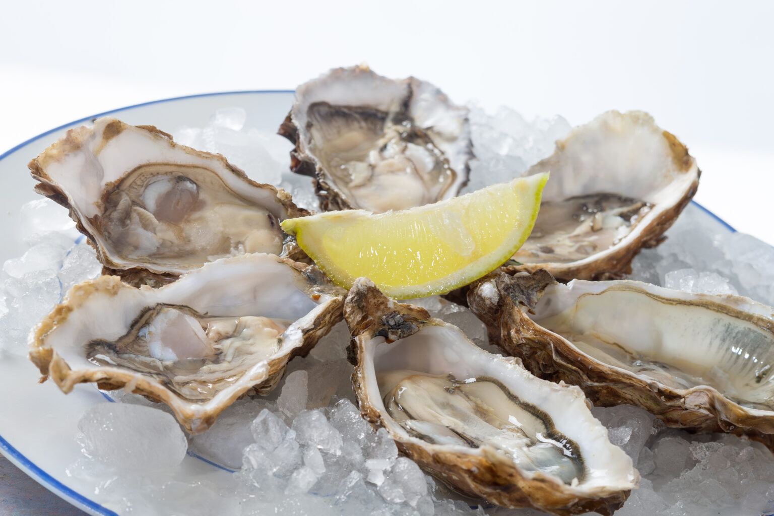 Over 100 Reported Sick From Norovirus Outbreak Linked to Raw Oysters ...