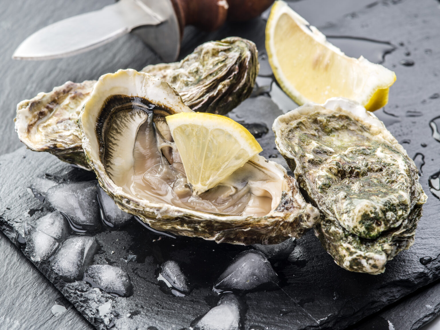 How to Eat Oysters Safely: Avoiding Deadly Vibrio Bacteria | Food ...