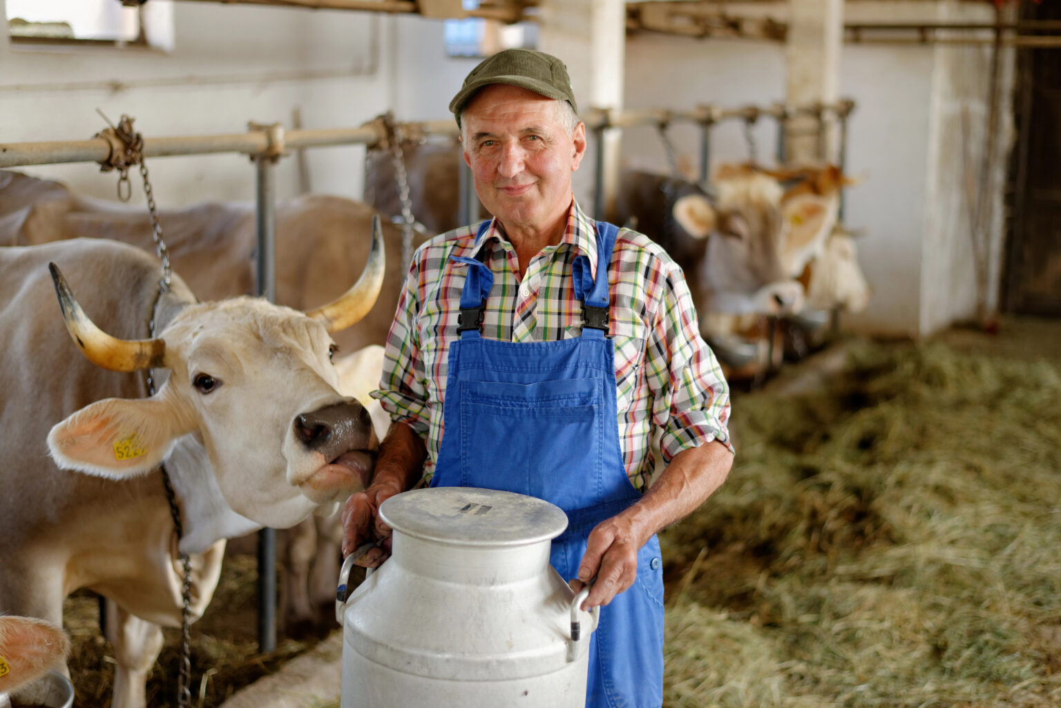 Justice Department Forces California Dairy to Shutter Following Years