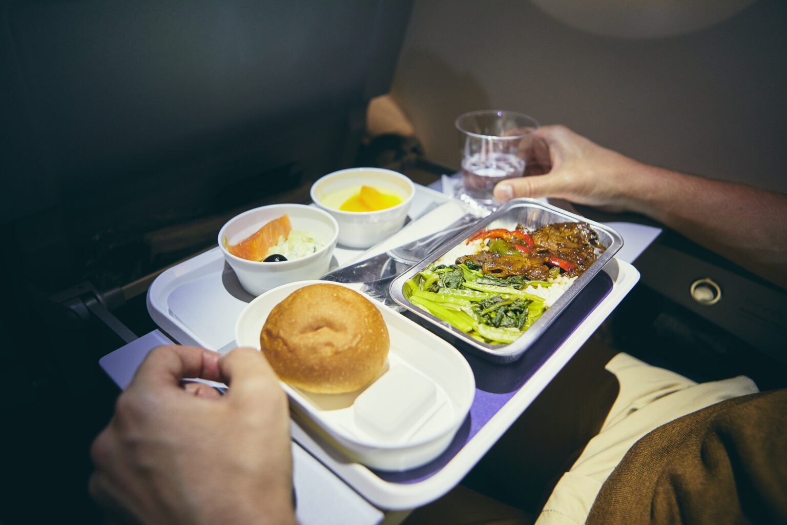 Spoiled Inflight Meal Diverts Delta Flight | Food Poisoning News